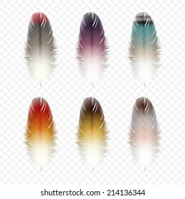 Set of Feathers Isolated