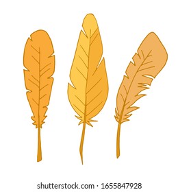 Set of feathers. Isolated feathers on a white background. Outline illustration. Vector. Flat illustration. Three feathers. Yellow feather.
