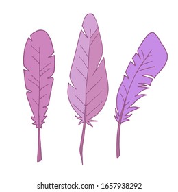 Conjunto de plumas. Plumas aisladas en un fondo blanco. Ilustración de esquema. Vector. 