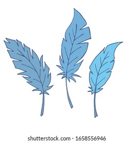 Set of feathers. Isolated feathers on a white background. Outline illustration. Vector. Blue feathers. Flat illustration.