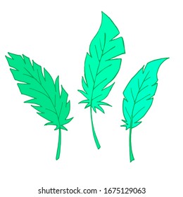 Conjunto de plumas. Plumas aisladas en un fondo blanco. Ilustración de esquema. Vector. Las plumas verdes. Ilustración plana.