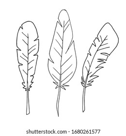 Set of feathers. Isolated feathers on a white background. Outline illustration. Vector. Flat illustration. Three feathers.