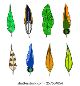 Set of feathers. Isolated on white. Vector illustration. 