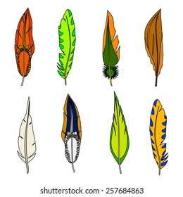 Set of feathers. Isolated on white. Vector illustration. 