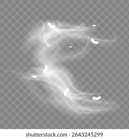 Set of feathers isolated on a white background