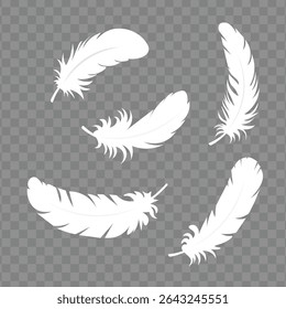 Set of feathers isolated on a white background