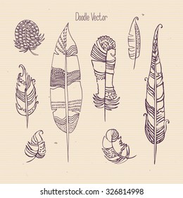 Set of feathers. Linear decorative graphics. Doodle, sketch. Vector.