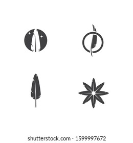 Set Feathers Logo Template vector symbol nature