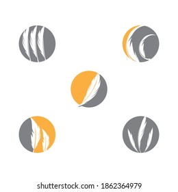 Set Feathers Logo Template vector symbol nature