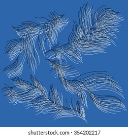 Set of feathers on a blue background. Collection of contour feathers. Vector illustration.