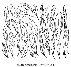 A set of feathers on a white background. Isolated hand drawn feathers in black lines. Set of simple elegant design made of sketched feathers for decorations. 