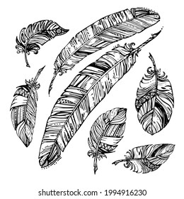 Juego de plumas. Esquema de dibujos de ilustraciones vectoriales con patrones y pequeños detalles sobre un fondo blanco. Diseño de ropa, tatuajes, impresiones, carteles, tarjetas, pegatinas, página de color