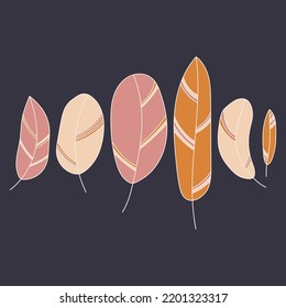Set of feathers in pastel colors on a dark background. Collection of vector decorative elements.