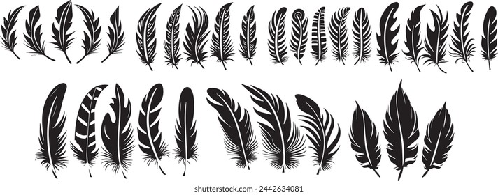 set of feathers silhouette on transparent