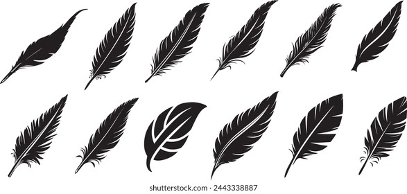 set of feathers silhouette on transparent 