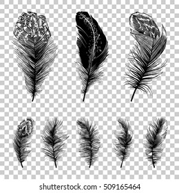 Set of feathers silhouettes isolated on transparent background. Vector illustration.
