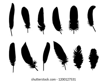 Set of feathers silhouettes on white background vector illustration 