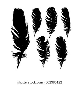 Set feathers. Vector