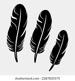 ensemble de plumes création vectorielle
