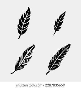 set of feathers vector design