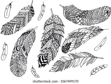 Set of feathers
Vector illustration on transparent.
Hand-drawn picture for coloring book.