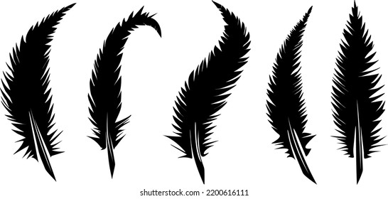 set of feathers vector isolated bird illustration
