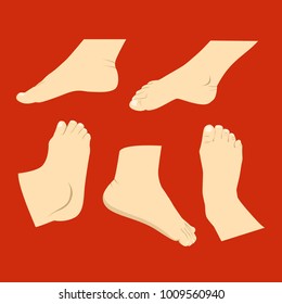A Set Feet Vector Illustration