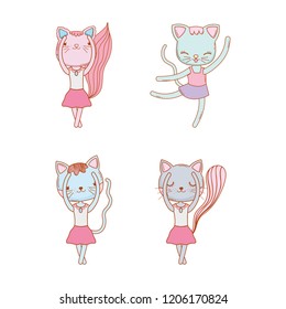 set female cats dancing pet animal