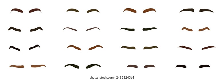 A set of female eyebrows. Isolated cartoon eyebrows. Eyebrow shaping. Different types of eyebrows. EPS 10.