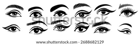 set of female eyes eyelashes eyebrows different types