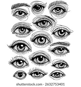 Set of female eyes. Hand drawn illustration isolated on white background. Collection of women's eyes. Different types of eyes, eyelashes, eyebrows. Different types of eyes. 