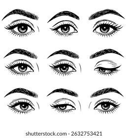Set of female eyes. Hand drawn illustration isolated on white background. Collection of women's eyes. Different types of eyes, eyelashes, eyebrows. Different types of eyes. 