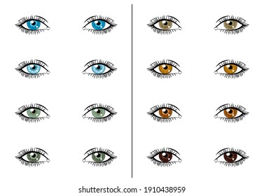 Set of female eyes isolated on a white background. Different eye colors.	
