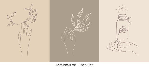 A set of female hand emblems in a minimalistic linear style. Gestures of hands holding a branch with leaves. For cosmetics design, beauty studio