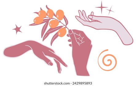 Eine Reihe weiblicher Handlogos. Die Hand hält einen Olivenzweig. Vektor-Illustration für Kosmetik und Verpackung.  Vektorgrafik auf hellem Hintergrund.