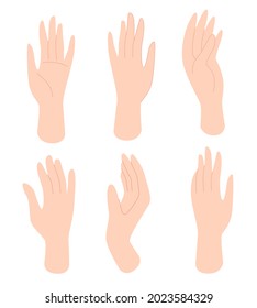 Conjunto de manos femeninas en diferentes gestos. Manos humanas, palmas. Ilustración vectorial de estilo plano aislada en fondo blanco.