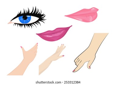 Set of female hands, lips and eye, vector illustration