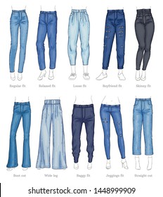 Set of female jeans models and their names sketch style, vector illustration isolated on white background. Collection of denim trousers or pants types, casual fashion clothing for women