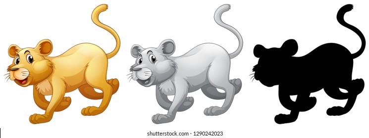 Set of female lion illustration