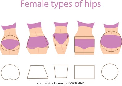 Set of female types of hips