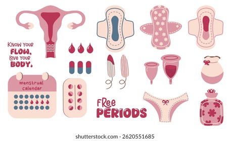 Conjunto de produtos de higiene feminina período isolado no branco. Almofadas sanitárias, tampões, xícara menstrual, rastreador de calendário menstrual, pílulas anticoncepcionais, comprimidos analgésicos.