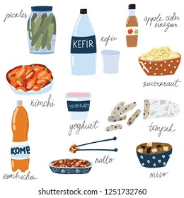 Set Of Fermented Food, Kimchi, Kefir, Yoghurt, Miso, Apple Cider Vinegar, Kombucha, Pickles, Tempeh, Sauerkraut. Hand Drawn Doodle Style
