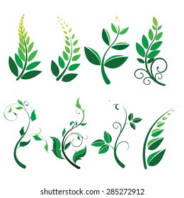 The set Fern leaf vector, Eco concept on white background.
