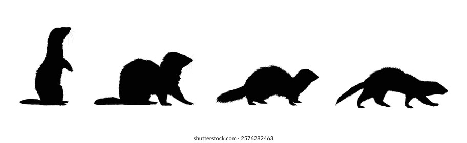 Set of Ferret silhouette vector