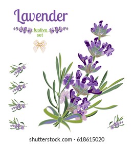 Set festive border and elements with Lavender flowers for greeting card. Botanical illustration are drawn by hand