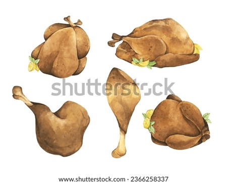 Set of Festive celebration roasted turkey for Thanksgiving Day or Christmas. Watercolor illustration.
