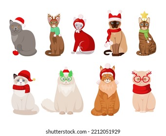 Un conjunto de gatos navideños festivos sobre un fondo blanco. Tetas. Diseño de caricaturas.
