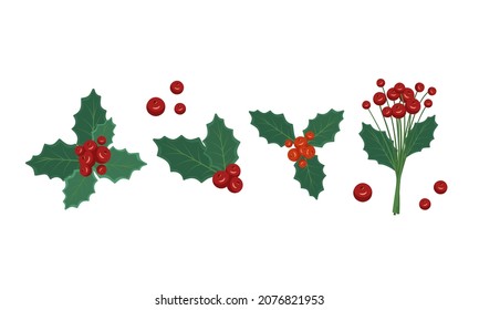 Set of festive decorations from twigs with red berries and holly leaves. Traditional decor for Christmas and New Years. Vector flat illustration