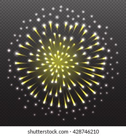 Set Festive Firework Salute Burst on Transparent Background vector illustration