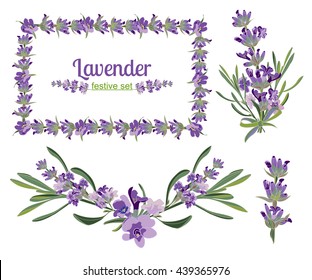 Set festive frames and elements with Lavender flowers for greeting card. Botanical illustration are drawn by hand